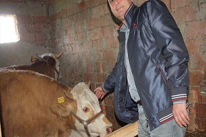 Ünye`de Orman Köylüsüne Destek