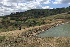 Üzüm Bağları Suya Kavuşuyor