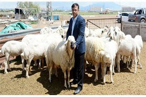 Verim Artışı İçin Koç Katımı Önemli