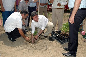 Yeni Üzüm Çeşitleri Toprakla Buluştu