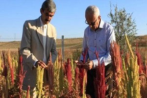 Tarımda Deneme Ekimi