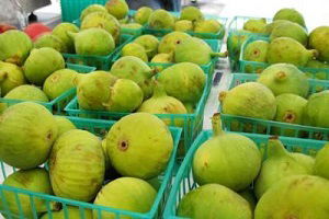 Aydın İnciri Olmasına Dikkat!