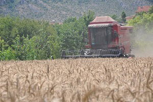 Verim Güzel Fakat Fiyat Düşündürüyor