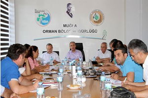 Çam Balı Sorunu Masaya Yatırıldı