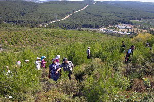 İzmir Küllerinden Yeniden Doğdu