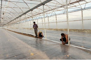 Solarizasyonun Önemi