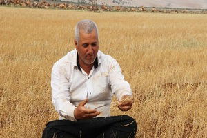 Tahıl Ambarları Kurudu