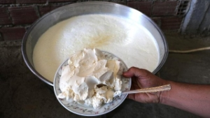 `Yanık Yoğurt` Geçim Kaynağı Oldu