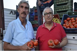 Çameli`den Suudi Arabistan`a Sera Domatesi