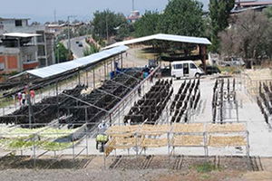 Ellerinde Kalan Patlıcanları Kurutunca Bir Çok Ülkeye Satmaya Başladılar