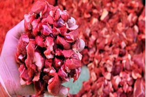 Bosna Hersek`ten Sığır Eti İthalatı