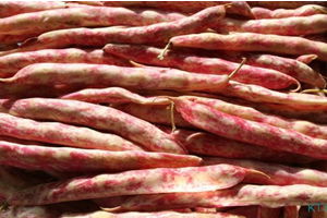 Fasulye ve Barbunya Fiyatları Altın Borsasına Döndü