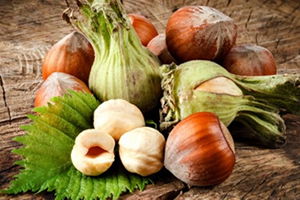 Fındık Üreticisinin Beklentisi 30 TL