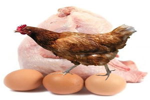 GDO Söylentileri Asılsız