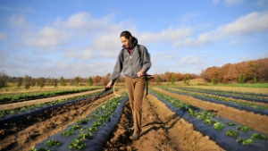 200 Çiftçiden 36`sı Hibe Almayı Hak Etti