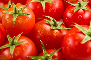 İsrail Çareyi Türk Domatesinde Buldu