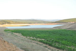 Keşan`da İçme Suyunu Karşılayan Barajın Kuruyan Alanlarına Ürün Ektiler