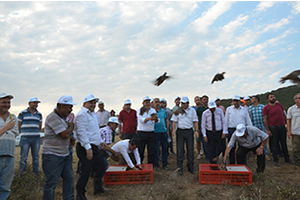 Ormanları Keklikler Koruyacak