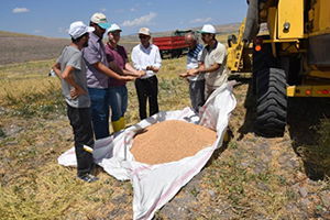 Mikrobiyal Gübre Kullanımı Nohutta Verimi Arttırdı