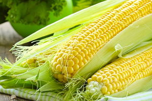 Mısırda Taban Fiyat Açıklandı!