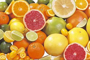 Narenciyede Hasat Sancılı Başladı