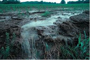 Tarımsal Kaynaklı Nitrat Kirliliğine Karşı Sular Korunacak