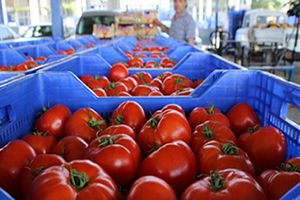 Ruslarda Flaş Türkiye Yasağı Açıklaması