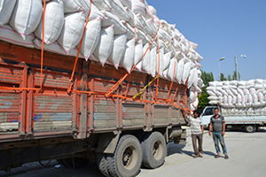 Saman Satıcıları Dertli