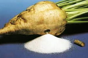 Şeker İthalatında Tarife Kontenjanı