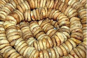 Aydın Sezonun İlk Kuru İncirinin Kilosu 125 Liradan Satıldı