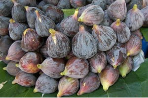 Siyah İncirde Hedef Uzakdoğu Pazarı