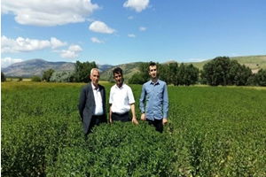 Sözleşmeli Aspir Üretiminde Büyük Başarı