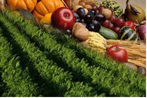 Türkiye Tarımsal İhracatını Nasıl Artırır?