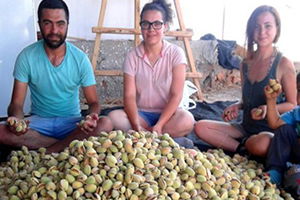 Ücretsiz Ekolojik Tatil