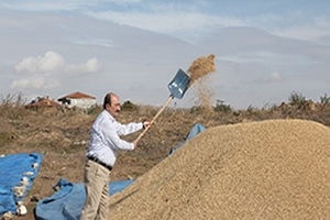 Üreticiye Alternatif Ürün Desteği