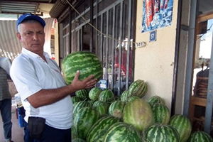 Cincin Karpuzu Kapış Kapış Gidiyor