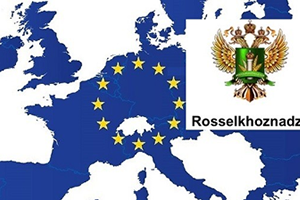 Rusya, Mısır`a Yönelik Tarım Ürünü Ambargosunu Kaldırıyor