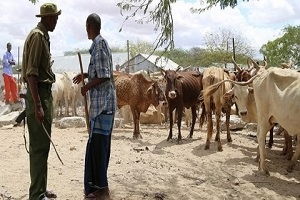 Sudanlı Halk Fiyatlardan Şikayetçi