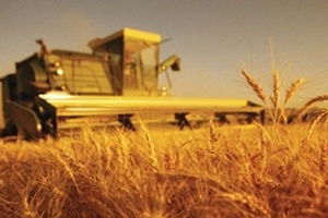 Kırsal Kalkınma Programı Yönetim Otoritesinin Görevleri Belirlendi