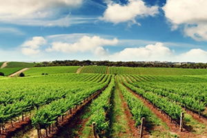 Tarım Danışmanı İstihdamına Destek