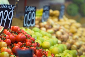 Herkes Vejetaryen Olsa Ne Olurdu?