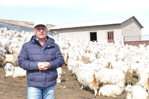 Ankara Keçisi Yetiştiricisine Önemli Uyarı