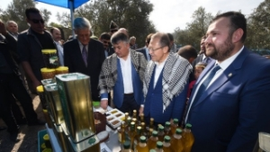 Ayvalık`ta `Zeytin Hasat Şöleni` yapıldı