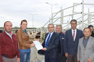 Çiftçiler Hayvanlarına Kavuştu