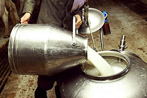 Çiğ Süt Üreticisinin Ölüm Fermanı