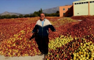 Çivril`de Üreticiler Elmalarını Satamadı