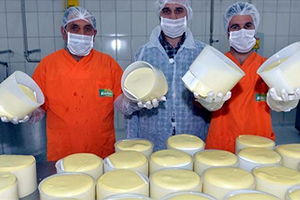 Peynirde Lezzetin Adı: Göle Kaşarı