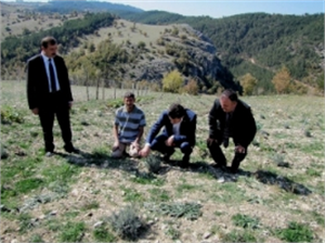 Müdür Gümüş`ten Lavanta Yetiştirin Tavsiyesi