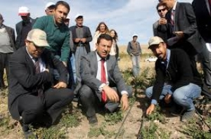 Nane Van`a Uyum Sağladı