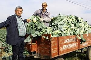 Kış Sebzeleri Çiftçinin Yüzünü Güldürdü